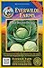 Photo Everwilde Farms - 500 Early Round Dutch Cabbage Seeds - Gold Vault Jumbo Seed Packet new bestseller 2024-2023