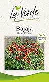 Bajaja Tomatensamen Foto, Bestseller 2025-2024 neu, bester Preis 3,25 € Rezension