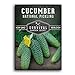 Photo Survival Garden Seeds - National Pickling Cucumber Seed for Planting - Packet with Instructions to Plant and Grow Cucumis Sativus in Your Home Vegetable Garden - Non-GMO Heirloom Variety new bestseller 2025-2024