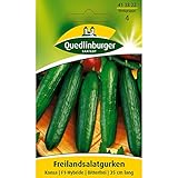 Freilandsalatgurke, Konsa F1 Foto, Bestseller 2025-2024 neu, bester Preis 2,99 € (0,15 € / stück) Rezension