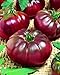 Photo CEMEHA SEEDS - Black Prince Tomato Determinate Non GMO Vegetable for Planting new bestseller 2024-2023