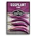 Photo Survival Garden Seeds - Long Purple Eggplant Seed for Planting - Packet with Instructions to Plant and Grow Skinny Italian Aubergines in Your Home Vegetable Garden - Non-GMO Heirloom Variety new bestseller 2024-2023