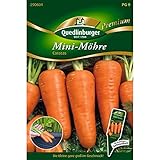 Mini-Möhre, Caracas NEU Foto, Bestseller 2024-2023 neu, bester Preis 3,96 € (7.920,00 € / kg) Rezension