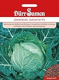 Dürr Samen 1153 Salatkohl Salarite F1 (Kohlsamen) Foto, Bestseller 2024-2023 neu, bester Preis 4,11 € Rezension