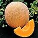 Photo Park Seed Hale's Best Organic Melon Seeds Delicious Cantaloupe Certified Organic Thick Flesh, Sweet Juicy Flavor, Pack of 20 Seeds new bestseller 2024-2023