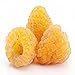 Photo Golden Raspberry - 5 Golden Raspberry Plants - Everbearing - Organic Grown new bestseller 2024-2023