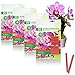 Photo com-four® 80x Bâtonnets d'engrais pour orchidées - Engrais équilibré pour orchidées pour Une Floraison éclatante. nouveau best-seller 2024-2023