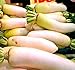 Photo Big Pack - (3,000) Japanese Daikon - Daikon Radish Seeds - Japanese Radish - Non-GMO Seeds by MySeeds.Co (Big Pack - Daicon Radish) new bestseller 2024-2023