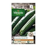 Vilmorin Graines de Concombre Murat Photo, best-seller 2024-2023 nouveau, meilleur prix 7,95 € examen