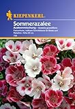 Sperli Blumensamen Sommerazalee Godetia Mischung, grün Foto, Bestseller 2025-2024 neu, bester Preis 2,88 € (96,00 € / 100 g) Rezension