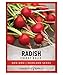 Photo Radish Seeds for Planting - Cherry Belle Variety Heirloom, Non-GMO Vegetable Seed - 2 Grams of Seeds Great for Outdoor Spring, Winter and Fall Gardening by Gardeners Basics new bestseller 2024-2023