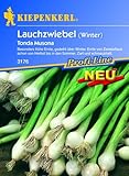 Lauchzwiebeln 'Tonda Musona' Foto, Bestseller 2024-2023 neu, bester Preis 2,29 € Rezension