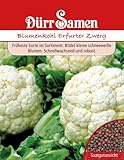 Dürr Samen 0006 Blumenkohl Erfurter Zwerg (Blumenkohlsamen) Foto, Bestseller 2024-2023 neu, bester Preis 2,27 € Rezension