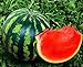 Photo Seeds4planting - Seeds Watermelon Crimson Sweet Giant Heirloom Vegetable Non GMO new bestseller 2024-2023