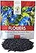 Photo Morning Glory Seeds Heavenly Blue - Large 1 Ounce Packet - Over 1,000 Flower Seeds new bestseller 2024-2023