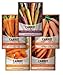 Photo Carrot Seeds for Planting Home Garden - 5 Variety Pack Rainbow, Imperator 58, Scarlet Nantes, Bambino and Royal Chantenay Great for Spring, Summer, Fall, Heirloom Carrot Seeds by Gardeners Basics new bestseller 2024-2023