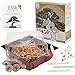 Foto Bonsai Kit incl. eBook GRATUITO - Set de plantas con mini invernadero, semillas y suelo - idea de regalo sostenible para los amantes de las plantas (Semillas: Olivo + Pino Australiano) nuevo éxito de ventas 2024-2023