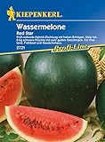 Melonen Wassermelone Red Star F1 Foto, Bestseller 2025-2024 neu, bester Preis 4,24 € Rezension