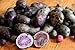 Photo Simply Seed - Purple Majesty - Naturally Grown Seed Potatoes - 5 LB- Ready for Spring Planting new bestseller 2024-2023