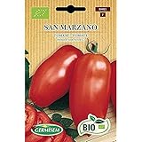 Bio Tomate San Marzano Foto, Bestseller 2025-2024 neu, bester Preis 3,99 € Rezension