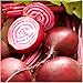 Photo Seed Needs, Chioggia Beets (Beta vulgaris) Bulk Package of 2,000 Seeds Non-GMO new bestseller 2024-2023