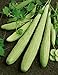 Photo David's Garden Seeds Cucumber Slicing Armenian Yard Long 9184 (Green) 25 Non-GMO, Heirloom Seeds new bestseller 2024-2023