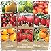 Photo Organic Heirloom Tomato Seeds Variety Pack - 9 Seed Packets: Brandywine, Roma, Green Zebra, Three Sisters, Yellow Pear, Valencia, Amish Paste and More new bestseller 2024-2023