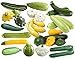 Photo This is a Mix!!! 50+ Zucchini and Squash Mix Seeds 12 Varieties Non-GMO Delicious Grown in USA. Rare, Super Profilic new bestseller 2024-2023