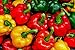 Photo Bell Pepper, California Wonder Pepper Seeds, Heirloom, 25 Seeds, Delicious Large Peppers new bestseller 2024-2023