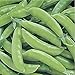 Photo David's Garden Seeds Pea Snap Super Sugar 4736 (Green) 100 Non-GMO, Open Pollinated Seeds new bestseller 2024-2023