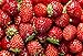 Photo David's Garden Seeds Fruit Strawberry Red Wonder 3117 (Red) 50 Non-GMO, Heirloom Seeds new bestseller 2024-2023