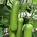 Photo S-pone 20+ Long Bottle Gourd Seeds Edible Asian Indian Opo Squash Dudi Calabash Long Melon new bestseller 2024-2023