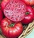 Photo Pink Ponderosa Heirloom Tomato Seeds - Large Tomato - One of The Most Delicious Tomatoes for Home Growing, Non GMO - Neonicotinoid-Free. new bestseller 2024-2023