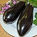 Photo Eggplant,Black Beauty Eggplant Seed, Heirloom, , Non GMO, 25 Seeds, Vegetable new bestseller 2024-2023