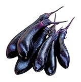 Burpee Millionaire Hybrid Eggplant Seeds 30 seeds Photo, bestseller 2024-2023 new, best price $7.27 review