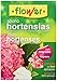 Foto Flower 10820 - Abono hortensias, 1 kg nuevo éxito de ventas 2024-2023