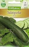 Chrestensen Salatgurke 'Tanja' Foto, Bestseller 2025-2024 neu, bester Preis 2,99 € (2,99 € / l) Rezension