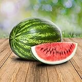 Wassermelon Klondike 25 x Samen - 100% Natursamen, Superfruchtig und Herrlich Erfrischend Foto, Bestseller 2024-2023 neu, bester Preis 2,90 € Rezension