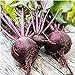 Photo Long Season Lutz Beets Seeds (((50 Seed Packet))) (More Heirloom, Organic, Non GMO, Vegetable, Fruit, Herb, Flower Garden Seeds at Seed King Express) new bestseller 2024-2023