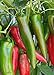 Photo 100 Anaheim Chili Pepper Seeds | Non-GMO | Fresh Garden Seeds new bestseller 2024-2023