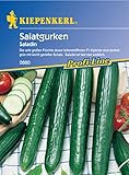 Sperli Gemüsesamen Gurken Saladin, F1, grün Foto, Bestseller 2025-2024 neu, bester Preis 3,34 € Rezension