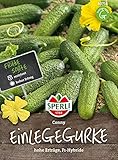 Gurke Einlegegurke Conny F1 (Ersatz für Bimbostar) Foto, Bestseller 2025-2024 neu, bester Preis 4,19 € Rezension