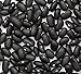 Photo Black Turtle Heirloom Bush Bean - Hardy Plants Grow to 18-24