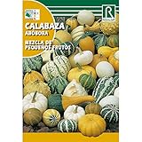 Semillas de Calabaza mezcla de pequeños frutos Foto, éxito de ventas 2024-2023 nuevo, mejor precio 1,62 € revisión