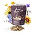 Photo Package of 80,000 Wildflower Seeds - Rocky Mountain Wildflower Mix Seeds Collection - 18 Assorted Varieties of Non-GMO Heirloom Flower Seeds for Planting Including Larkspur, Poppy, Columbine, & Daisy new bestseller 2024-2023