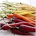 Photo David's Garden Seeds Carrot Rainbow Blend 9334 (Multi) 200 Non-GMO, Open Pollinated Seeds new bestseller 2024-2023