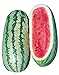 Photo Burpee Georgia Rattlesnake Watermelon Seeds 100 seeds new bestseller 2024-2023