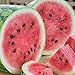 Photo RattleFree Watermelon Seeds for Planting Heirloom and NonGMO Jubilee Watermelon Seeds to Plant in Home Gardens Full Planting Instructions on Each Planting Packet new bestseller 2024-2023