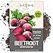 Photo Seed Needs, Detroit Dark Red Beet (Beta vulgaris) Bulk Package of 2,000 Seeds Non-GMO new bestseller 2024-2023