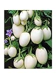 Aubergine White Mini - Eierfrucht - 20 Samen Foto, Bestseller 2024-2023 neu, bester Preis 1,60 € Rezension